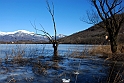 Lago Piccolo di Avigliana ghiacciato_049